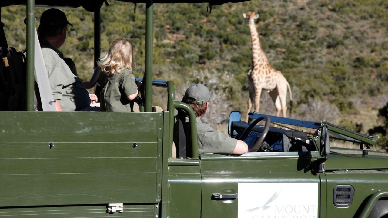 Mount Camdeboo Private Game Reserve By Newmark Graaff-Reinet Eksteriør bilde