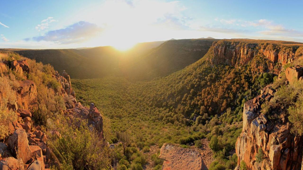 Mount Camdeboo Private Game Reserve By Newmark Graaff-Reinet Eksteriør bilde