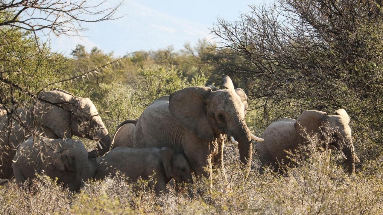 Mount Camdeboo Private Game Reserve By Newmark Graaff-Reinet Eksteriør bilde